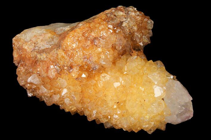 Sunshine Cactus Quartz Crystal - South Africa #122330